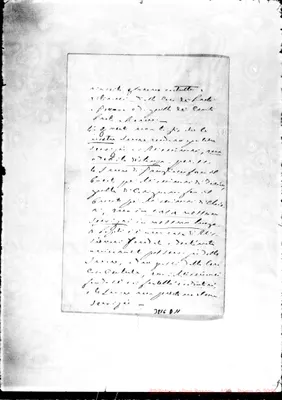Fotogramma D 11