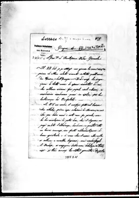Fotogramma D 11