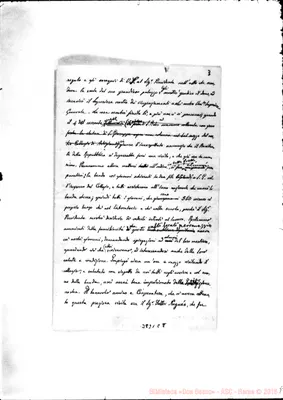Fotogramma C 8