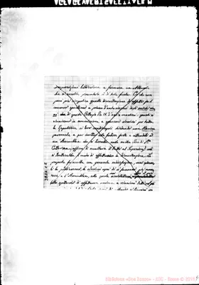 Fotogramma C 5