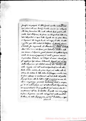 Fotogramma C 8