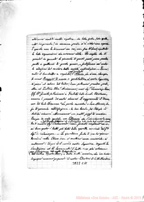 Fotogramma C 11