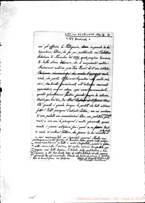 Fotogramma D 8