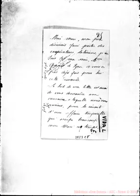 Fotogramma C 8