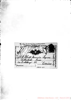 Fotogramma B 6