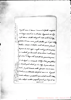 Fotogramma D 11