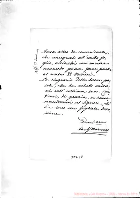 Fotogramma C 8