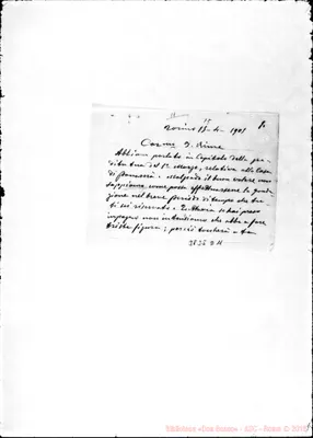 Fotogramma D 11