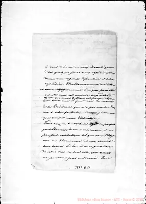 Fotogramma D 11