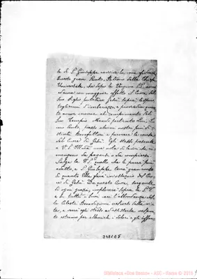 Fotogramma E 8