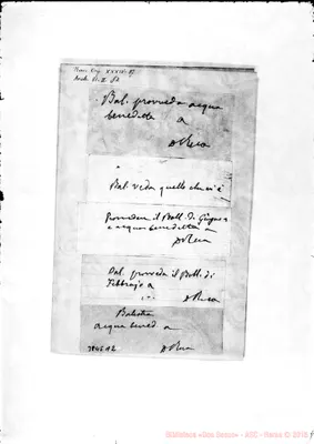 Fotogramma A 2