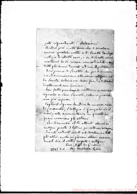 Fotogramma C 1