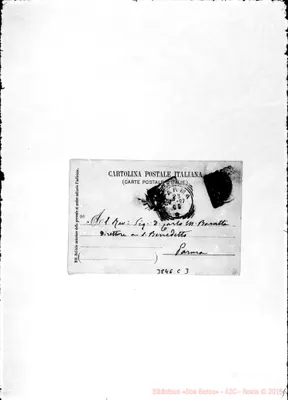 Fotogramma C 3