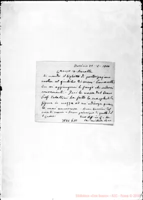 Fotogramma D 10
