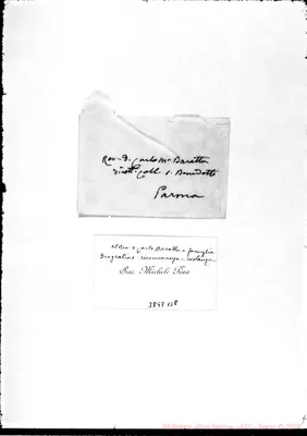 Fotogramma B 8