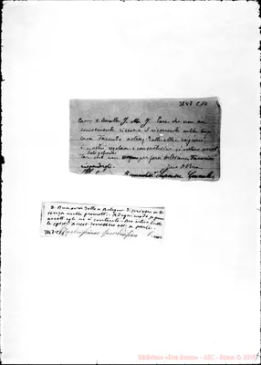 Fotogramma C 10