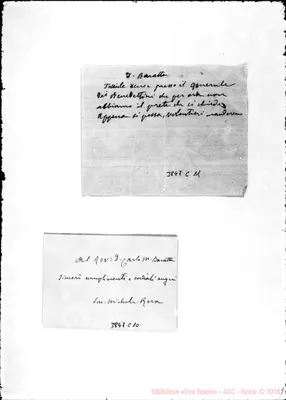 Fotogramma C 11