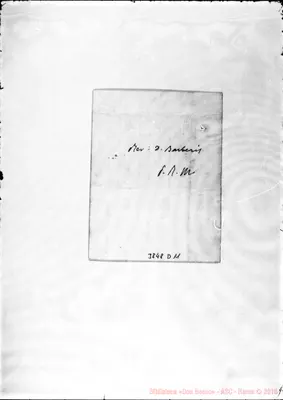 Fotogramma D 11