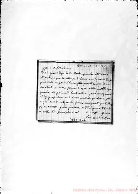 Fotogramma D 12
