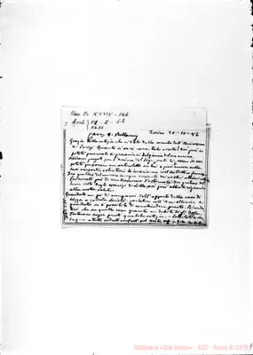 Fotogramma C 11