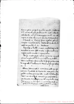Fotogramma B 3