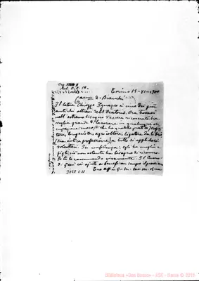 Fotogramma C 11
