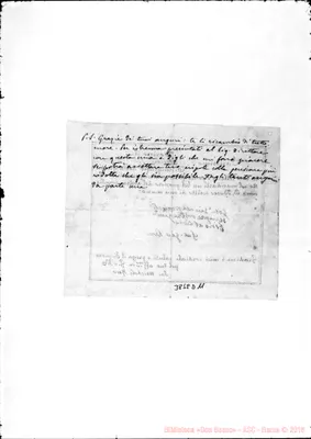 Fotogramma D 11