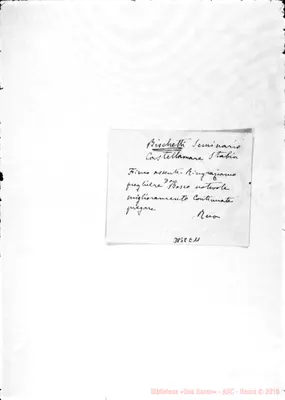 Fotogramma E 11