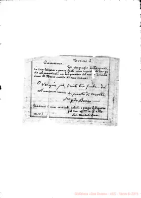 Fotogramma E 7
