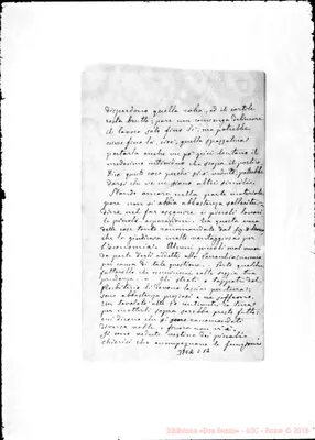 Fotogramma E 12