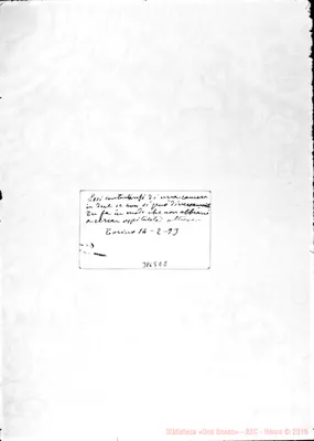 Fotogramma E 2
