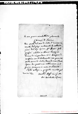 Fotogramma D 12