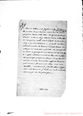 Fotogramma D 11
