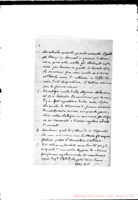 Fotogramma D 11