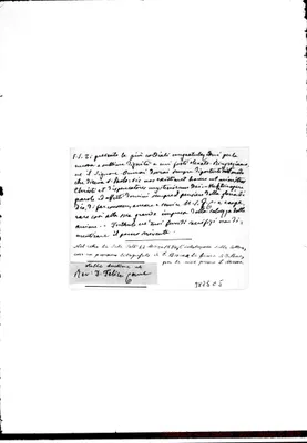 Fotogramma C 5