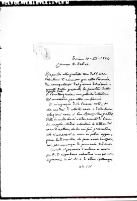 Fotogramma C 11