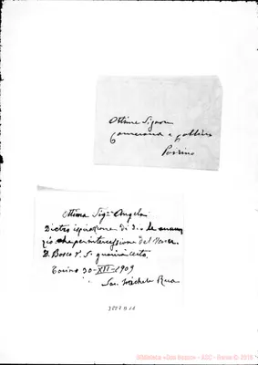 Fotogramma D 11
