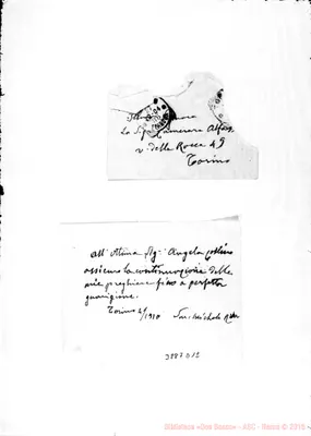 Fotogramma D 12