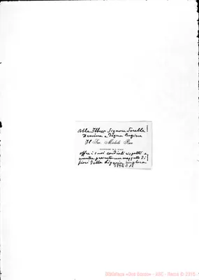 Fotogramma C 11
