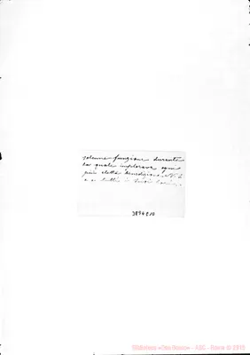 Fotogramma E 10