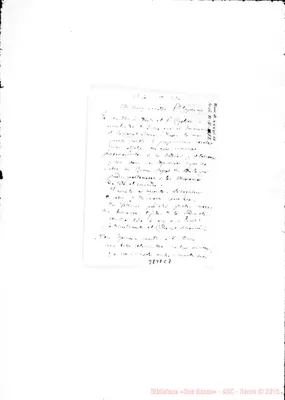 Fotogramma C 7
