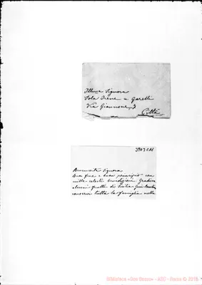 Fotogramma C 11