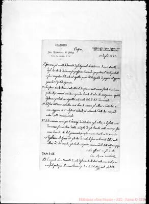 Fotogramma D 12