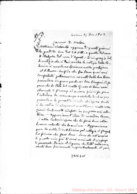 Fotogramma D 11