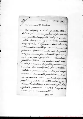 Fotogramma C 11