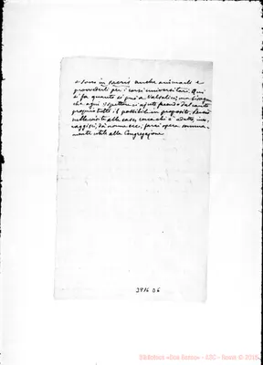 Fotogramma D 6