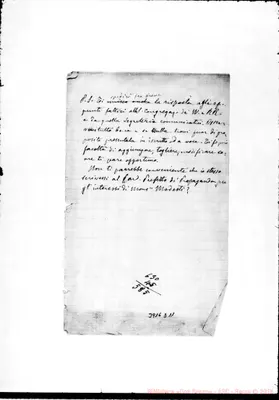 Fotogramma D 11