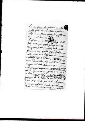 Fotogramma B 5