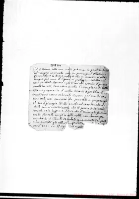 Fotogramma D 4