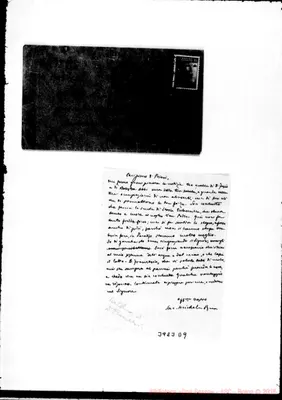 Fotogramma D 9